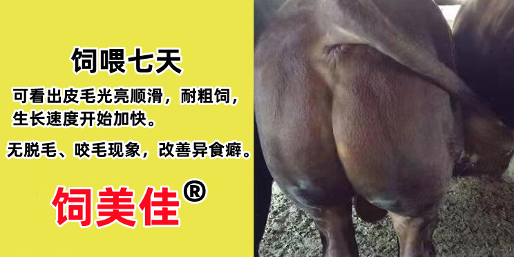 牛羊用什么催肥劑好呢？飼美佳牛羊催肥劑廠家直郵