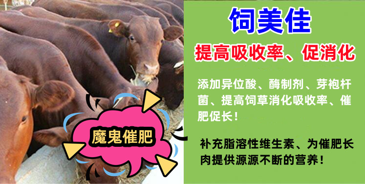 牛羊催肥喂什么飼料添加劑能增肌長(zhǎng)瘦肉？