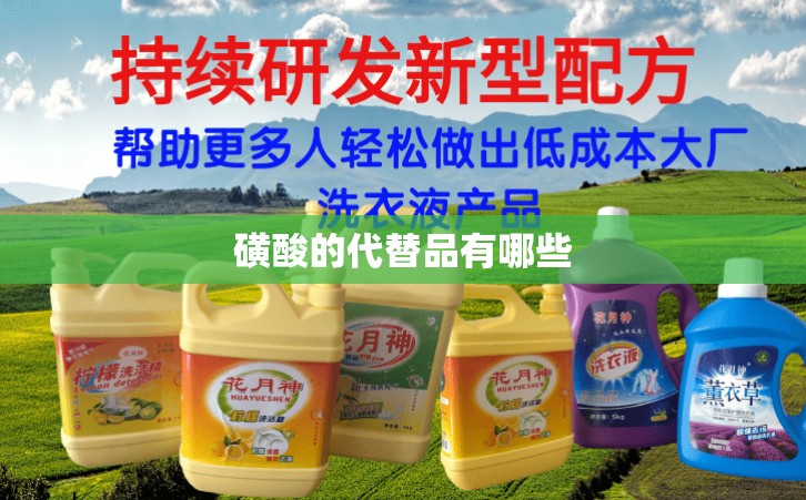 磺酸的代替品有哪些