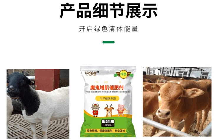 飼美佳羊催肥飼料添加劑能給養(yǎng)殖戶帶來什么？